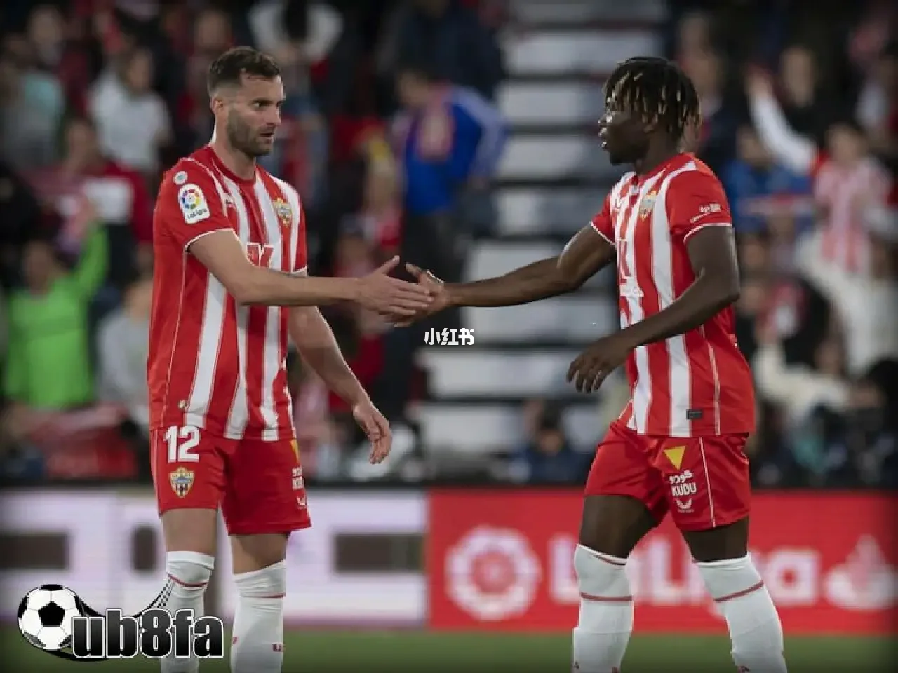 关于阿尔梅里亚客场惨败,遭遇重大失利的信息 关于阿尔梅里亚客场惨败,遭遇重大失利的信息